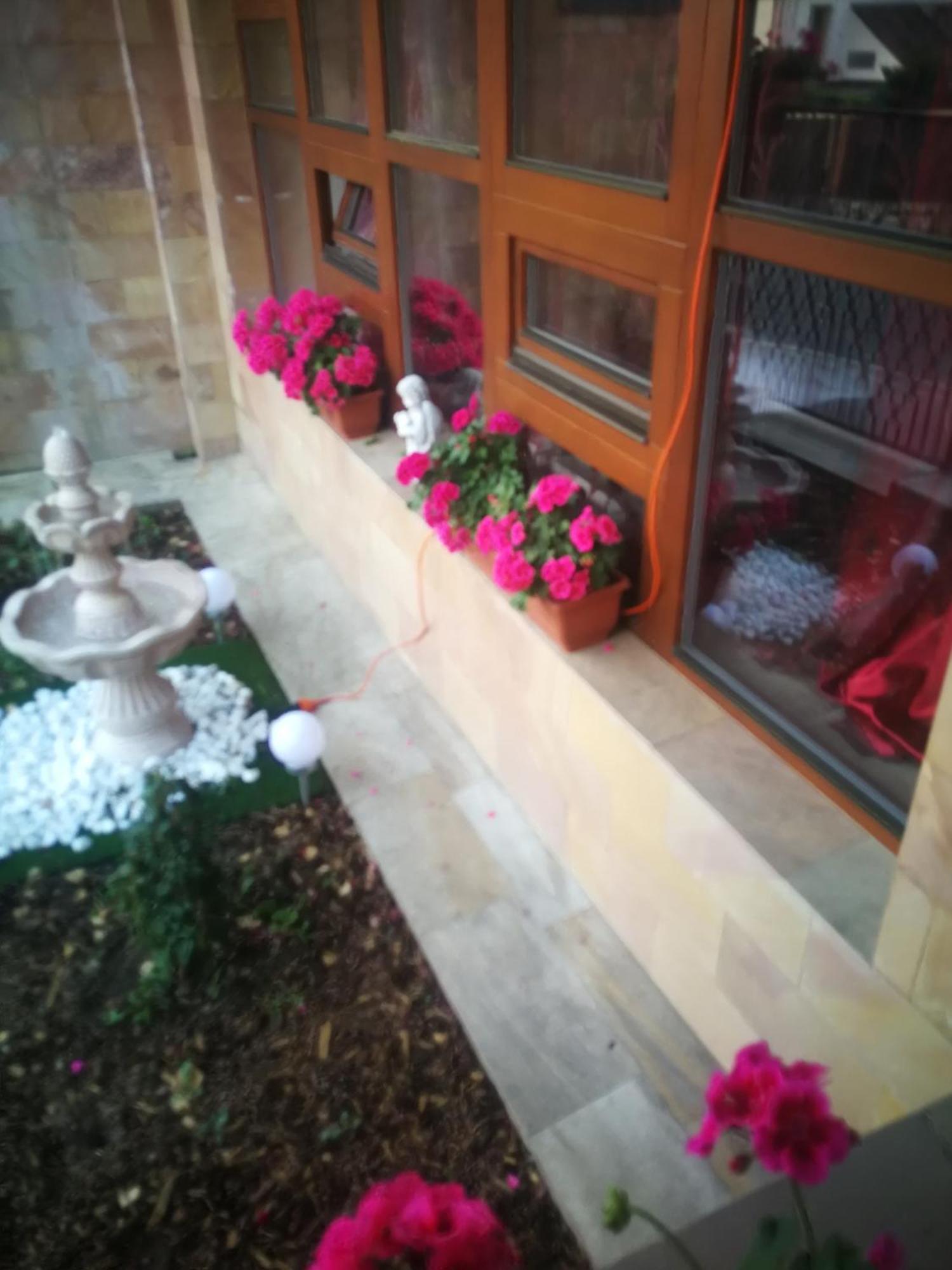 Vila Barrandovska Patro 2 براغ المظهر الخارجي الصورة